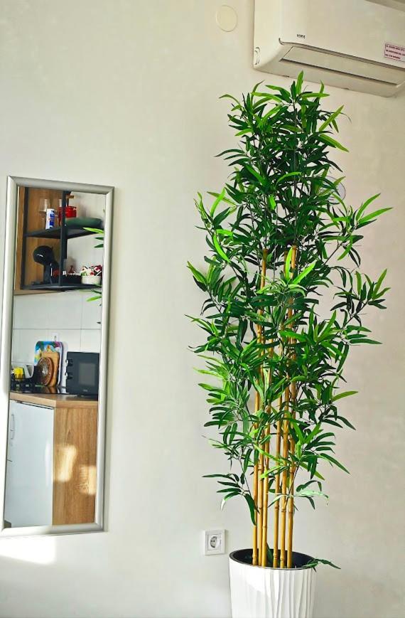 זאדאר Cozy Old Town Apartment מראה חיצוני תמונה